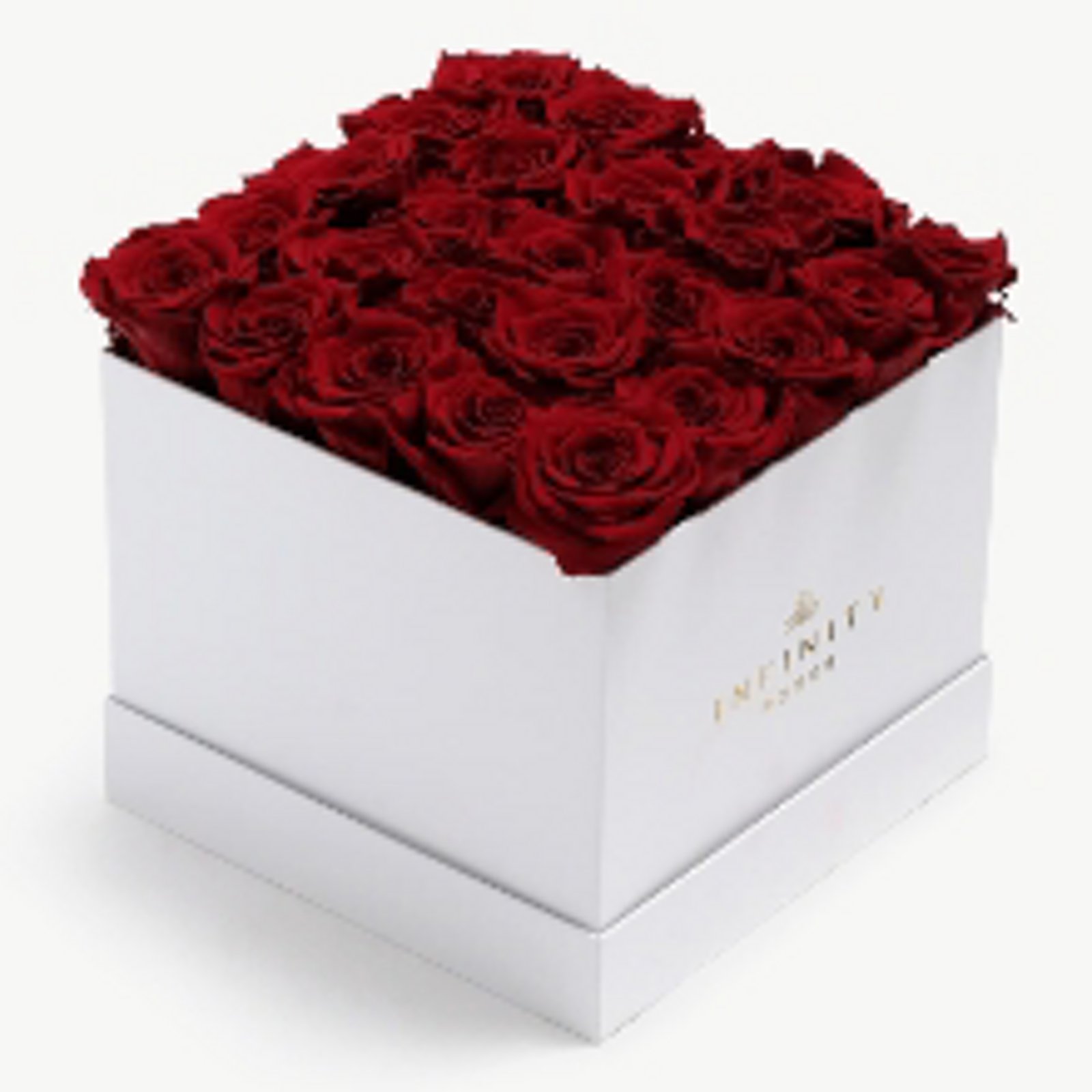 Long-Lasting Roses