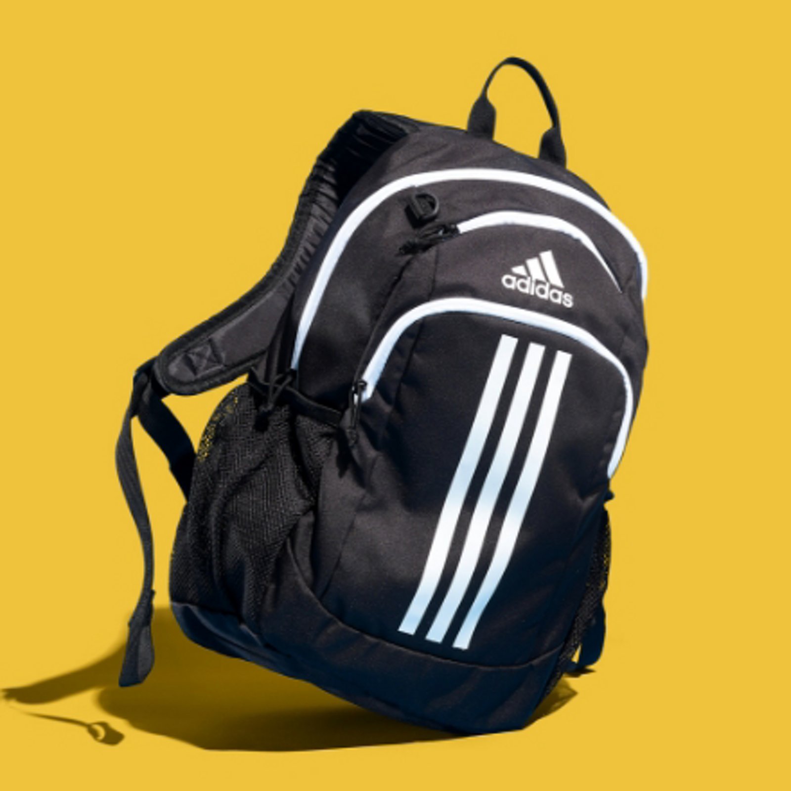 Backpacks and Bags for School